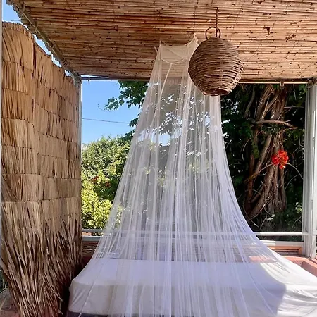 Garden -designed For Rest, Built For Two