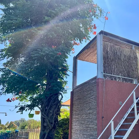 Garden -designed For Rest, Built For Two